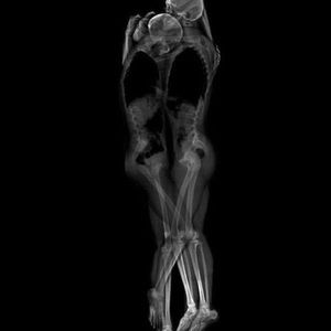 Meet your Posher, Jon